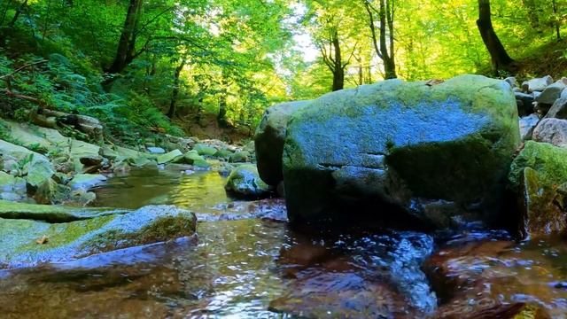 Успокаивающая Музыка 
Для Восстановление Нервной Системы.