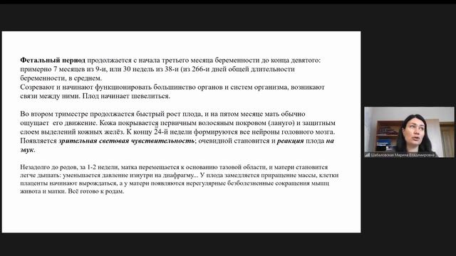Пренатальный период развития