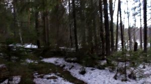 Что брать на охоту?  Выбор снаряжения.