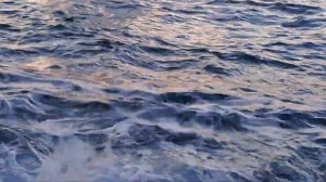 Зимний вечер у моря. Черногория Добра вода