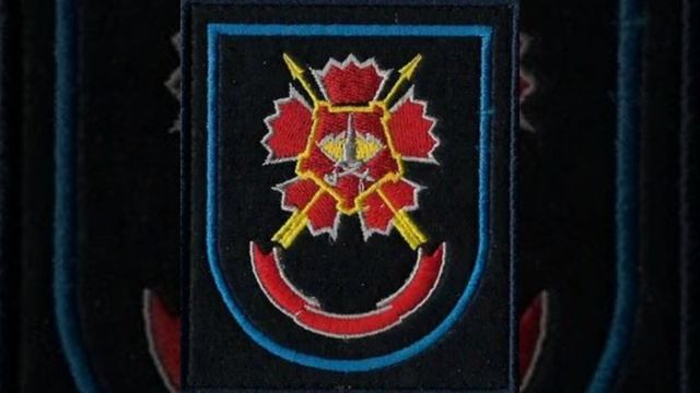 24 отдельная гвардейская бригада специального назначения ГРУ шеврон в/ч 55433 (Новосибирск) смотреть онлайн