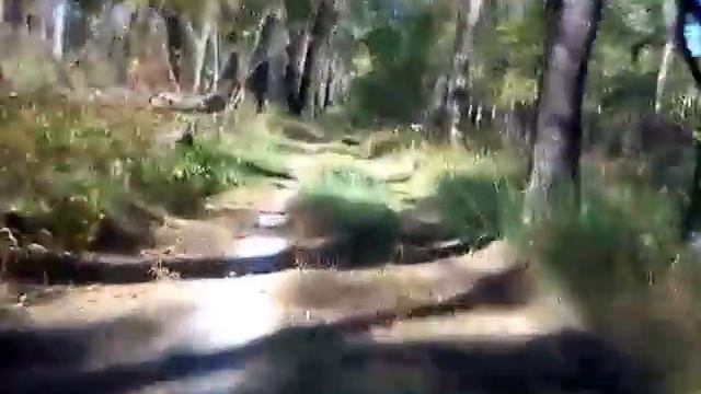 Мопед дельта. Дорога на дачу через лес. смотреть онлайн