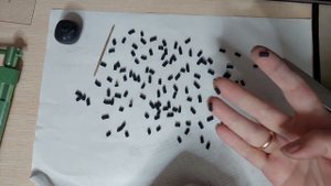 Ежевика из полимерной глины #творчество  #polimerclay #fimo #art