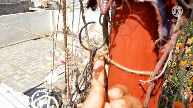 Bye Bye Winter Garden. Summer Vegetables and Flowers Growth  Indian Terrace Garden Ideas