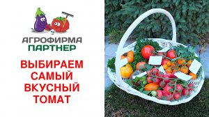 ВЫБИРАЕМ САМЫЙ ВКУСНЫЙ ТОМАТ