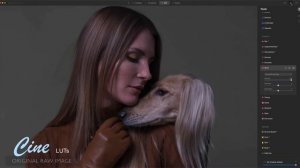 Cinematic LUTs for Luminar | Aurora HDR | Photoshop • 2 NEW Sets