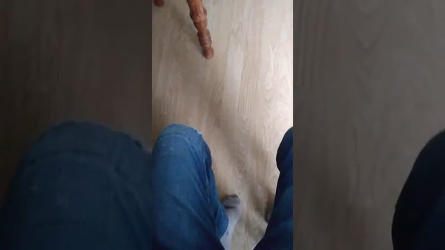 Какой телефон выбрать смотреть онлайн