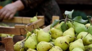 Сушка фруктов в глиняной печи Азербайджанская Кухня Деревенская Кухня Рецепты