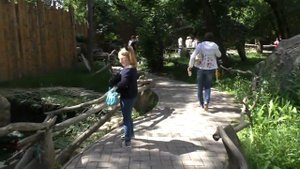 Динопарк в Новосибирске. Ожившие динозавры.