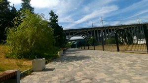 Велопрогулка по пойме Царицы