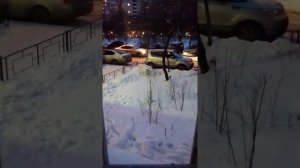 мой двор часть 3 (и разговор)