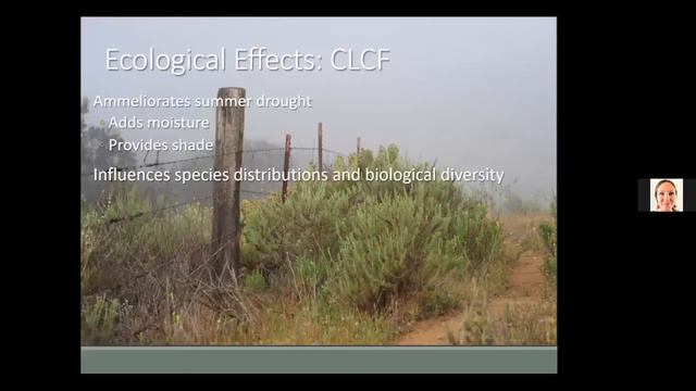 Sula Vanderplank, Does Fog Matter to Plants? Cal Hort June 2021 смотреть онлайн