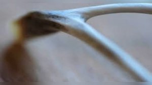 50 способов Рождественских гаданий  . Когда и как гадать на Рождество и Святки с 6 по 19 января