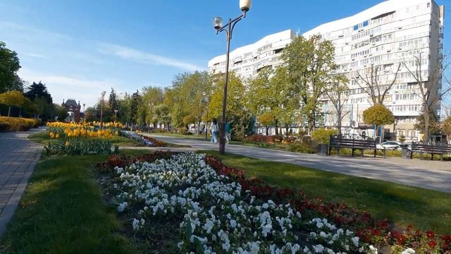 Улица Красная - весна 2023 в Краснодаре. Цветы, аллеи, прогулка по городу. Краснодар сегодня. 4k.