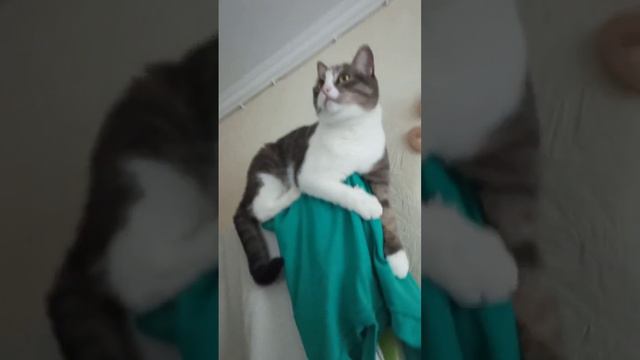 Наша молодёжь. Родители любители высокого уровня жизни 😺😸😻😼