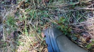 Коп в Карелии. Финская ,,Лайка,,