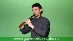 Шупелка в Соль из ясеня. Мастерская "Гармония звука"