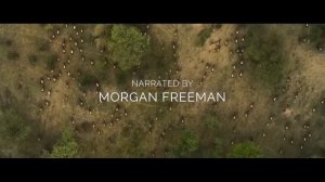 История Вселенной -- Русский трейлер (1-й сезон) -- Сериал 2022 (Netflix)