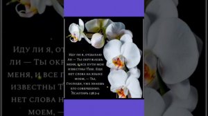Доброй и спокойной ночи! Христианское пожелание!