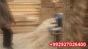 дар шахри Хучанд бозори Баракат! дар фасли Бахор нархи хамма намуди тахтахо арзон будааст(10.03.21)