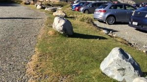 Влог. Новая Зеландия. Южный остров. Милфорд Саунд и Гора Кука