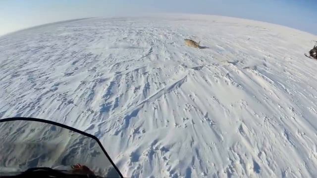 Степные Охотники 2020 / Wolf Hunting 2020 смотреть онлайн