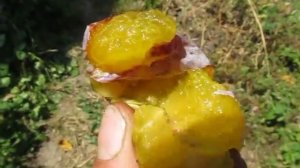Слива Память матери