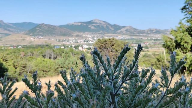 КРЫМ 2023. Ч.2. ВЕСЁЛОЕ и МЕГАНОМ. Pajero Sport забирается на Меганом. Смотрим на СУДАК с высоты. смотреть онлайн