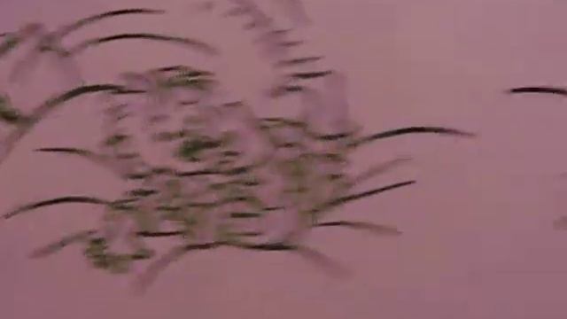 ***Воскресное утро*** смотреть онлайн