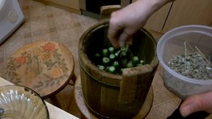 засолка огурцов в дубовой бочке (не сезонное испытание подарка).