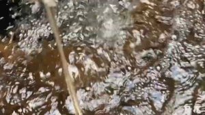 Как работают септики Бобёр - септик из бетонных колец