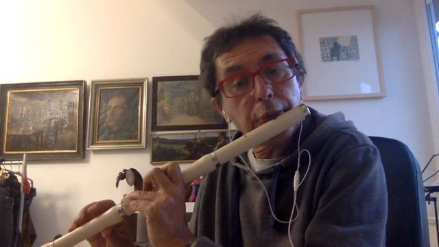 G. Platti, Sonata n 2 op 3 for flute and basso continuo смотреть онлайн