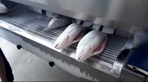 Tunnel freezer for salmon