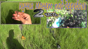 Куча монет под деревом!! День второй, докапываем остатки и идем дальше, по древней дорожке!!!