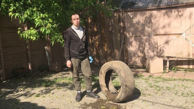 Волк и борзая - работа со страхами
