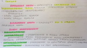 Билет 091. СТАДИИ РАЗВИТИЯ КОСТЕЙ. КОСТИ ПЕРВИЧНЫЕ И ВТОРИЧНЫЕ. ВИДЫ ОКОСТЕНЕНИЯ.