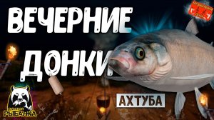 РР4/ рыбалка для души, ловим как универсал, общаемся 07.11.23