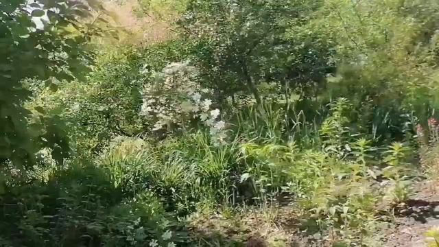 пгт Афипский / Краснодарский край/ О переезде на Кубань.