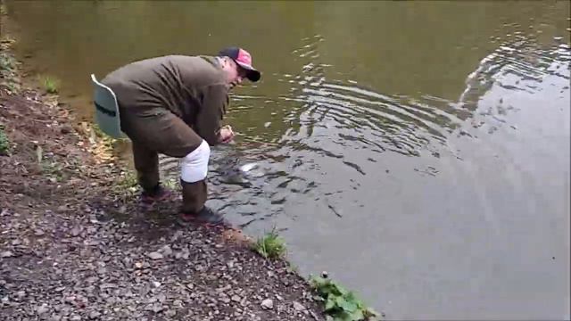 Поимки форели на верхнем. Клёвое место Лосиный остров. смотреть онлайн