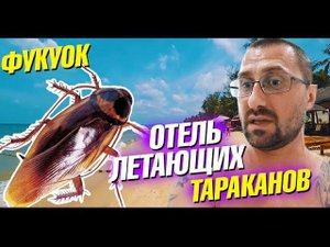 Остров Фукуок. Первое впечатление. Лучший пляж. Вот такие отели Вьетнама. Влог Вьетнам 2019