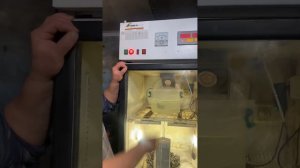 Стратификационная камера. Стратификация черенков винограда от а до я .