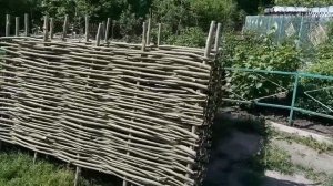 Забор из лозы Украинский тын Плетенный забор