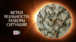 Активировать ветку реальности. Активировать ветку реальности. Отрицательный сценарий. Активировать ветку реальности. Активировать ветку реальности.