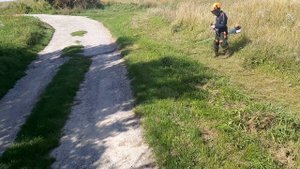 Stihl fs 311 young boy testing