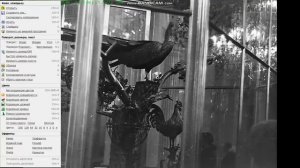 FILM SCANNER обработка негативов