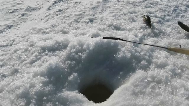 Рыбалка в этот день БЫЛА плохая, но погода отличная не считая ветра.