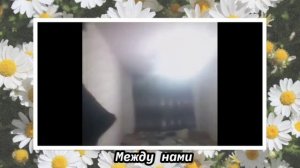 Зино келини хона бо марди бегона 2022