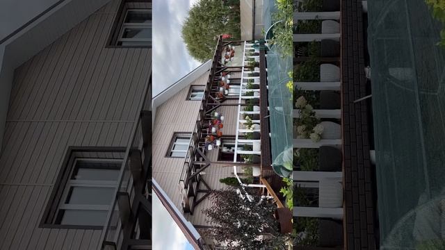 Отличие 1 от 2 леток. Обзор метельчатой гортензии. Новинки и Серия ПАН. смотреть онлайн