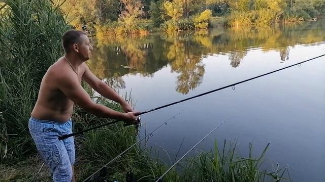 Карповая рыбалка! Ловля карпа на горох с попапом!