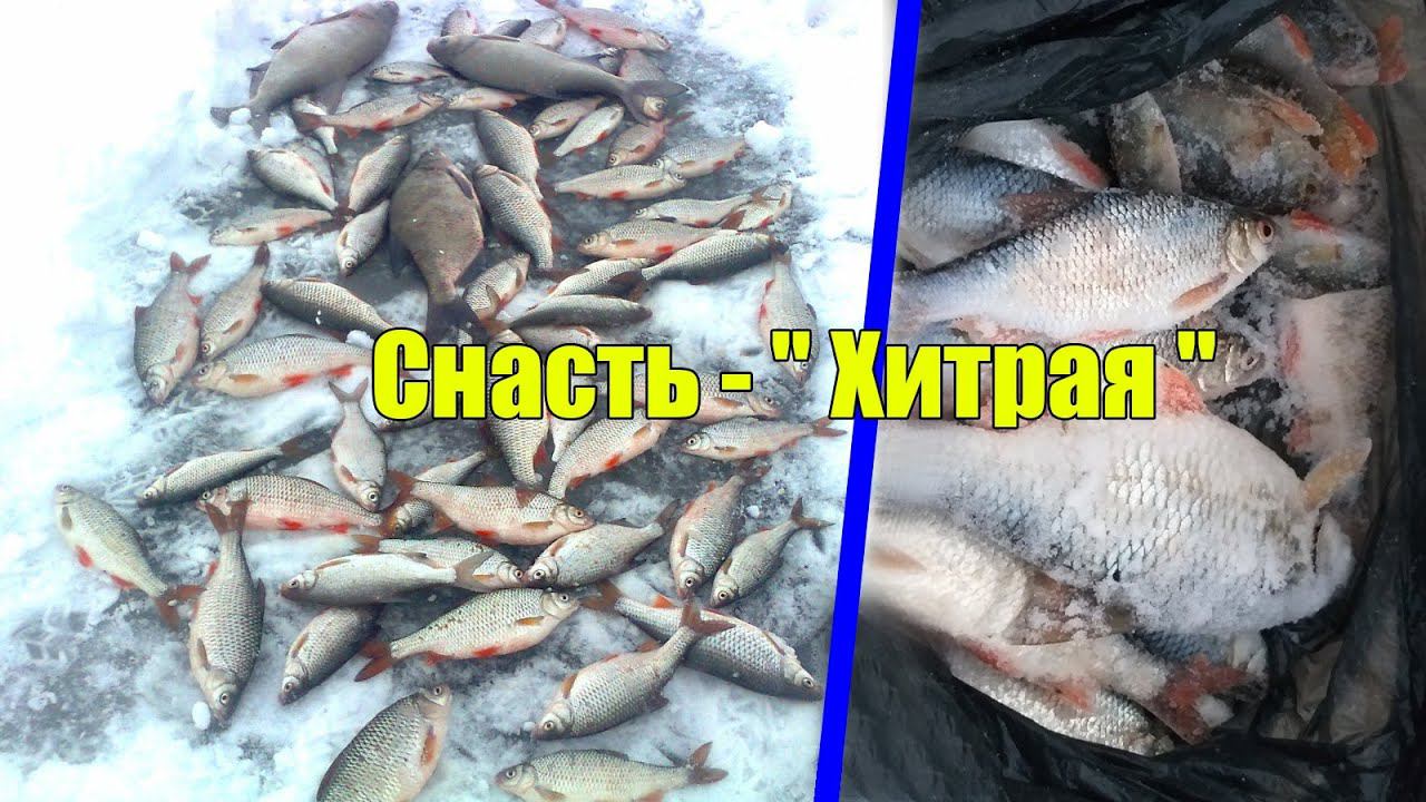 ЧТО ОНА ТВОРИТ | ПОДЛЕЩИК,ОКУНЬ,ПЛОТВА,ГУСТЕРА И ДАЖЕ ЁРШ |ЗИМНЯЯ РЫБАЛКА НА БЕЗМОТЫЛКУ | смотреть онлайн